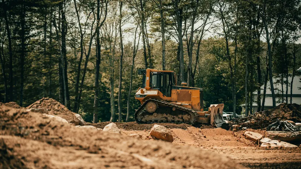 Bulldozer clearing a stand of pine trees